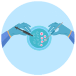 procesos-de-alta-complejidad